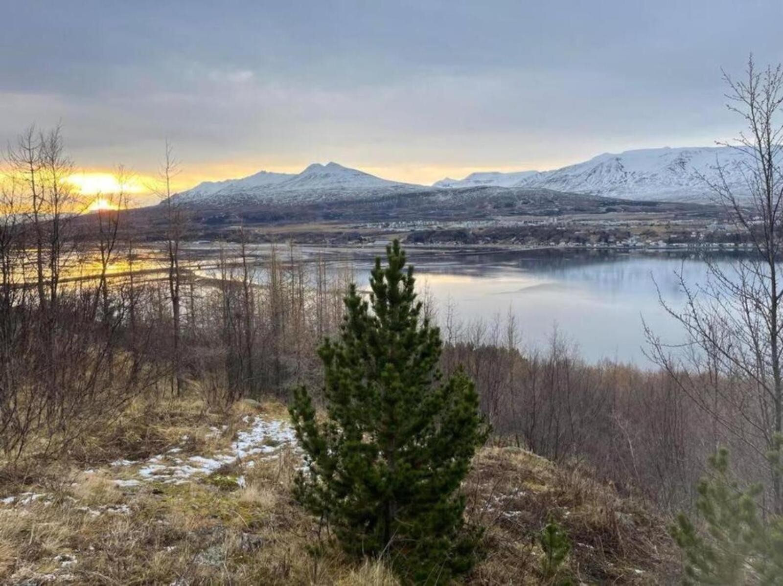 Cozy 2 Bedroom Cottage With Hot Tub Akureyri Kültér fotó